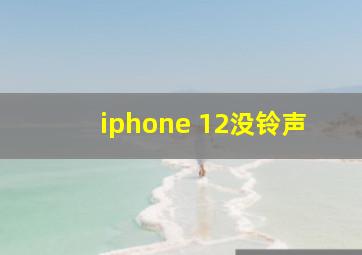 iphone 12没铃声